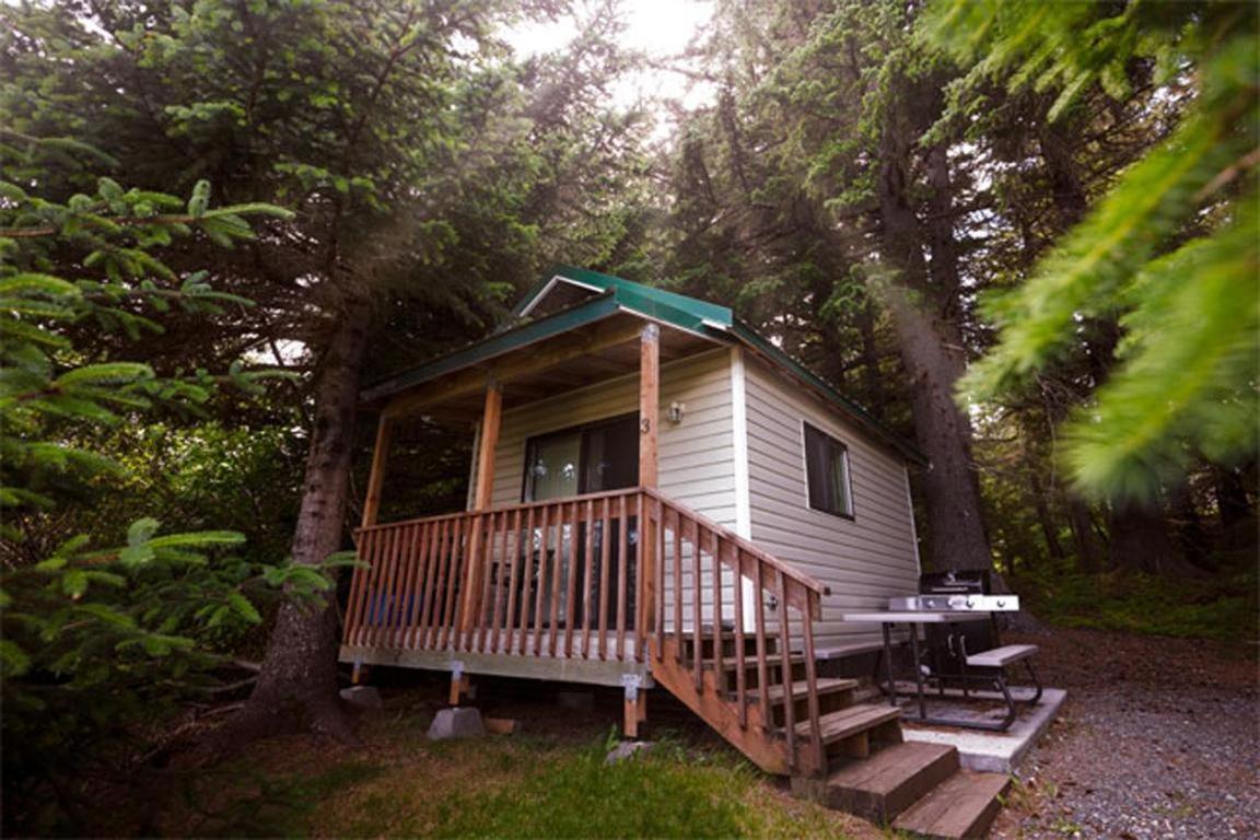Cabin 3 Lynn View Lodge Haines Buitenkant foto